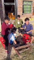 Funny video 2023 best funny video