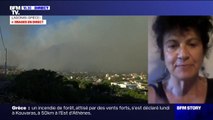 Incendies en Grèce: 1200 enfants évacués de colonies de vacances menacées par les feux