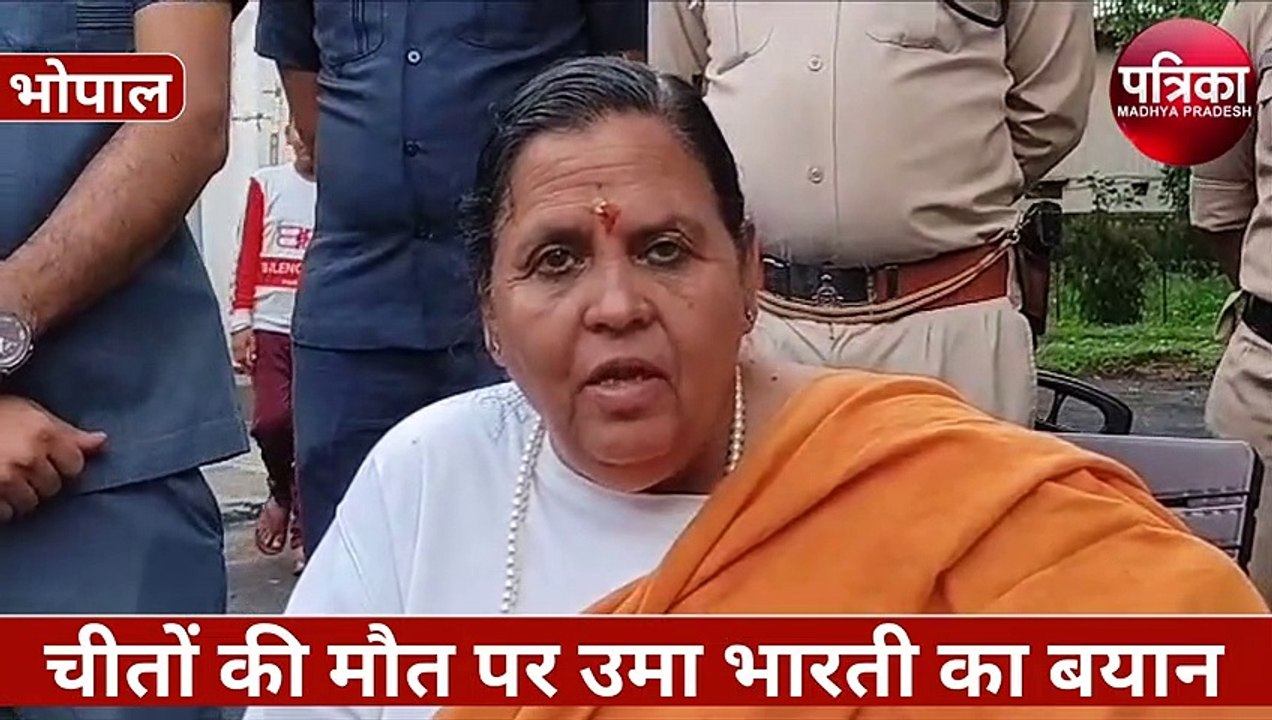 उमा भारती का बयान, चीता भाजपा का कार्यकर्ता नही...