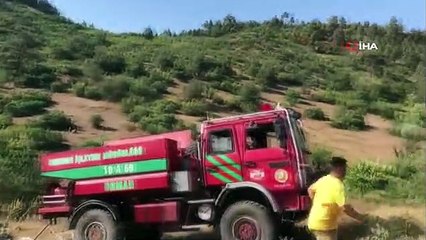 Balıkesir ile Kütahya arasında orman yangını başladı