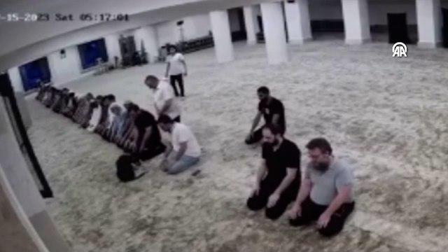 Başakşehir'de camiye giren köpek namazın bölünmesine neden oldu