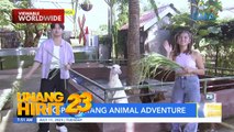 Zoo-per sayang animal adventure sa Mabalacat, Pampanga | Unang Hirit