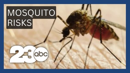 First case of St. Louis encephalitis recorded in Kern County