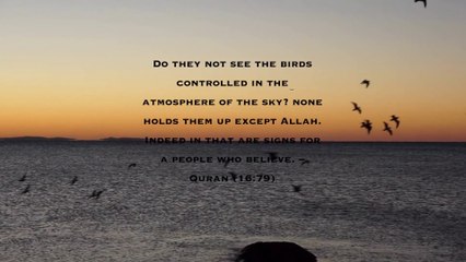 Inspirational Quran Verses part 3