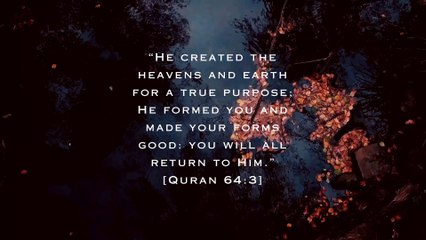 Inspirational Quran verses’