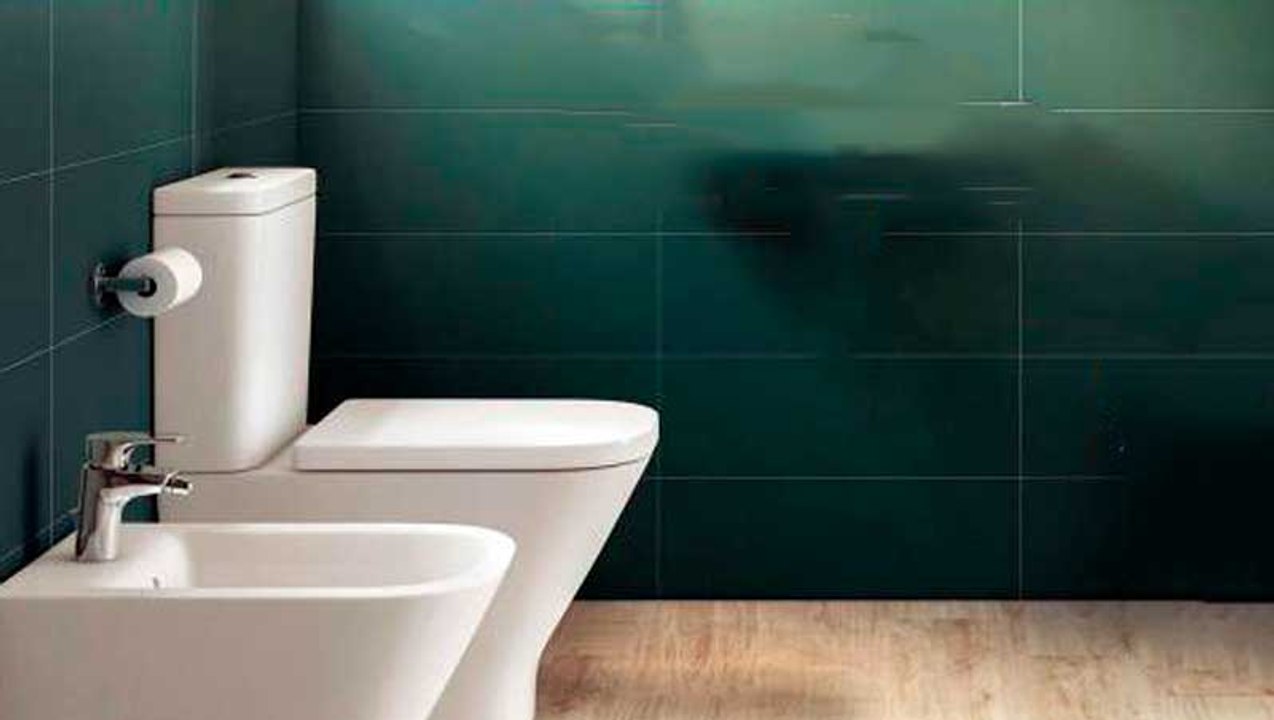 ¿Cuántas veces al día es normal ir al baño?