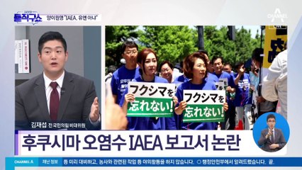 양이원영, IAEA에 “유엔 산하 기구 아니다”