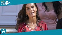 PHOTOS Letizia d'Espagne : Look seventies et cheveux au vent, la reine chic et bohème séduit