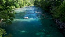 Peaceful Forest River - Relaxing River Sounds, Stress Relief, Healing music