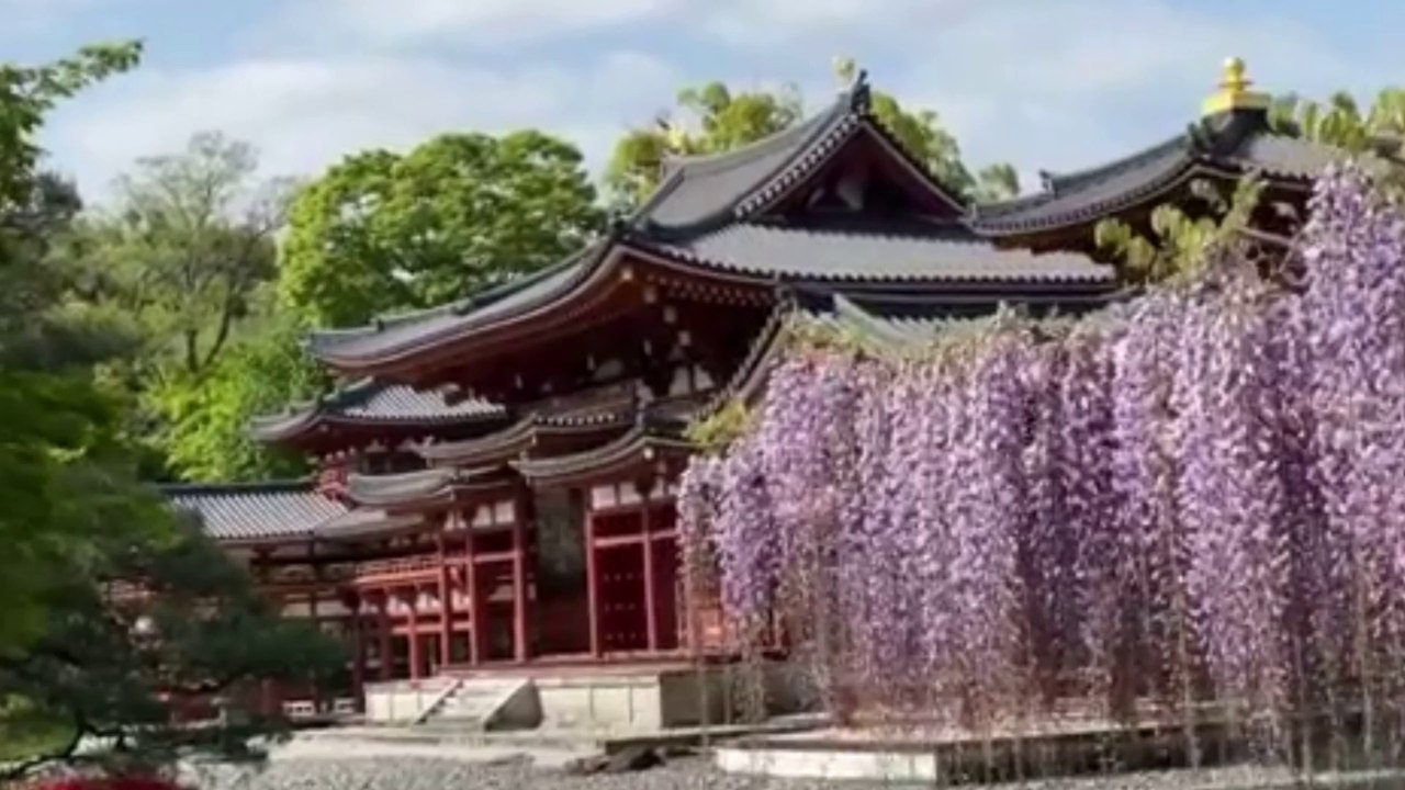 Kyoto 　Byodo-in Temple  平等院