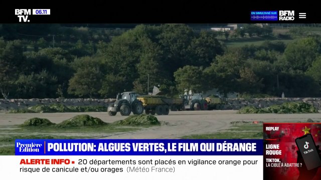 Les algues vertes , au cinéma ce mercredi, revient sur la pollution au nitrate en Bretagne