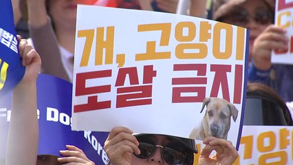 [뉴스앤이슈] 끝나지 않은 개 식용 논란...반대 측 "동물권 보호" / YTN