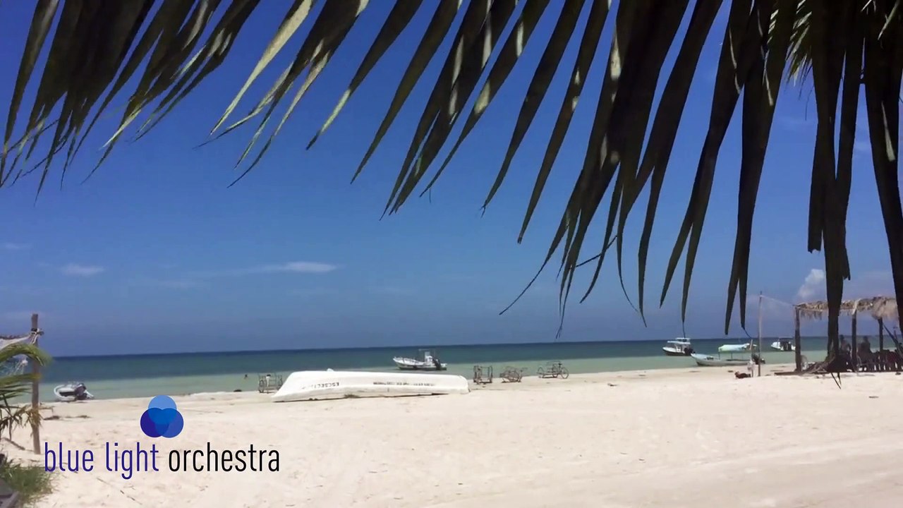 HAPPY CHA CHA Peter Heaven & Blue Light Orchestra - latin music