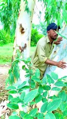 sony waly kamry ka naksha part 2