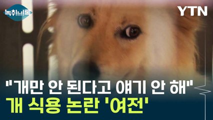 "소·돼지는 먹는데"...'개 식용' 논란, 갑론을박 여전 [Y녹취록] / YTN