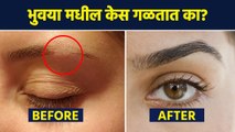 भुवया दाट करण्यासाठी उपाय | Easy Ways to Grow Thick Eyebrows Naturally | Lokmat Sakhi | AI2