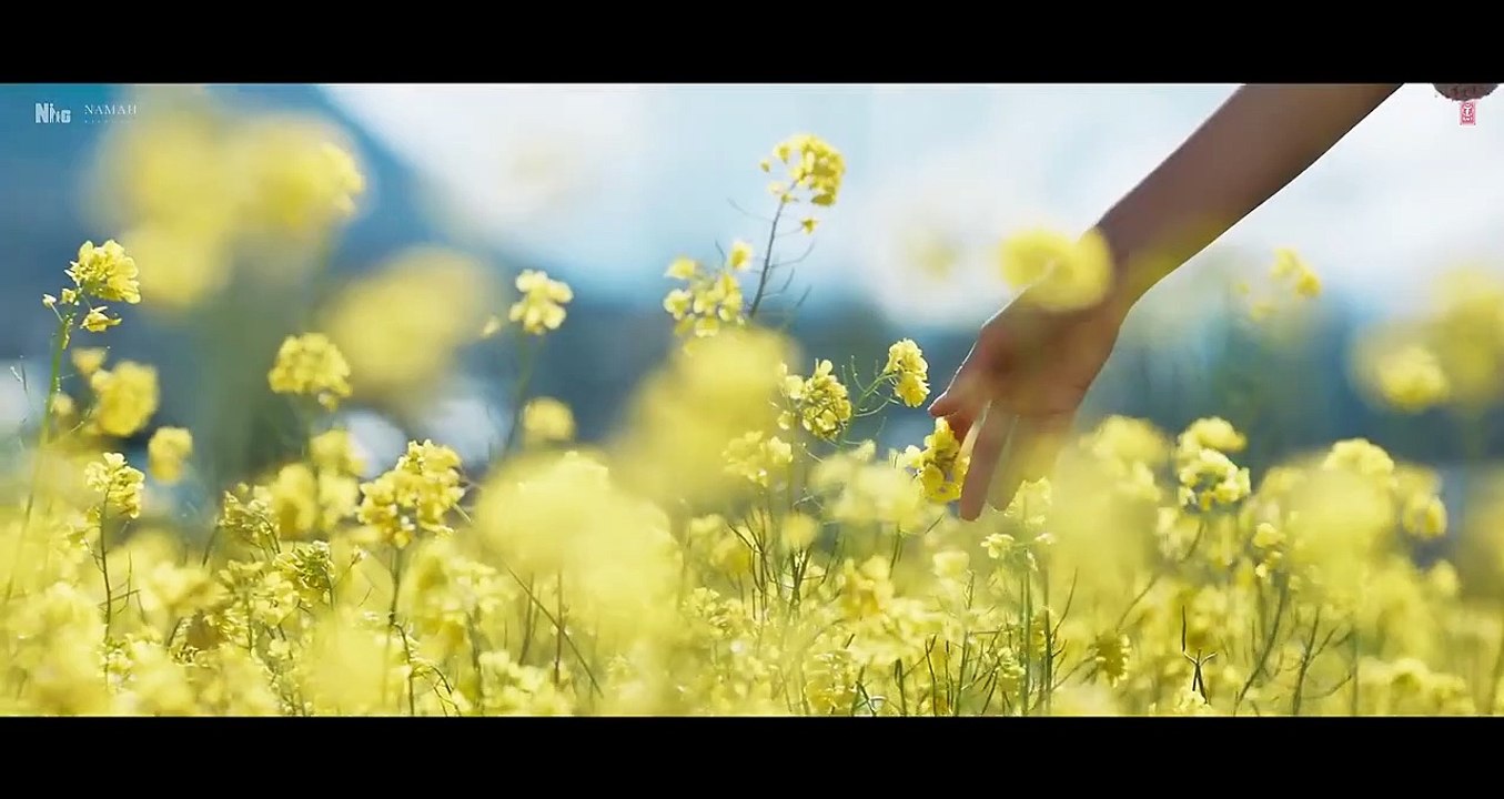 Pasoori Nu_ SatyaPrem Ki Katha _Kartik, Kiara _Arijit, Rochak, Ali, Tulsi, Gurpreet _Sajid N, Sameer
