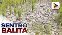Rekomendasyon para sa pagtugon sa epekto ng El Niño phenomenon sa bansa, nakatakdang ilabas ng DENR-WRMO