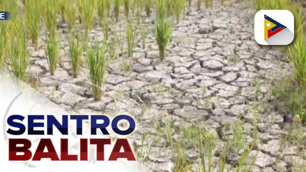 Rekomendasyon para sa pagtugon sa epekto ng El Niño phenomenon sa bansa, nakatakdang ilabas ng DENR-WRMO