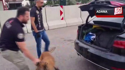 Polisin yakaladığı araçtan 20 kilo uyuşturucu çıktı, bir şüpheli tutuklandı