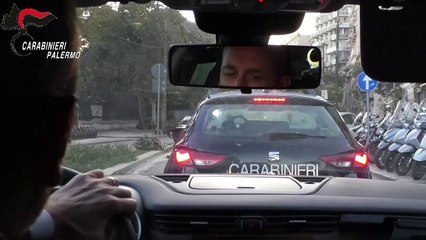 Palermo, a Borgo Nuovo 250 piante di marijuana, una pistola e munizioni: due finiscono in carcere