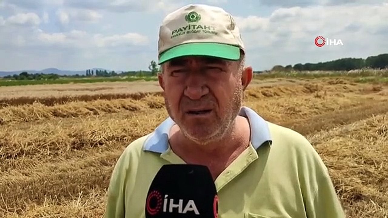 Buğday verimi Keşan çiftçisinin yüzünü güldürdü