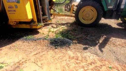 EU restrictions on use of product names a sticking point