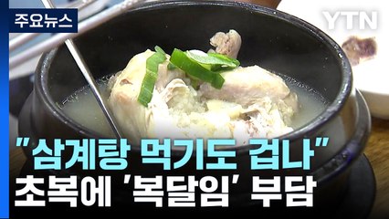 "삼계탕 먹기 겁나"...치솟는 가격에 복달임 부담 [앵커리포트] / YTN