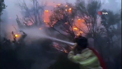 Mersin'de gece başlayan orman yangını kontrol altına alındı