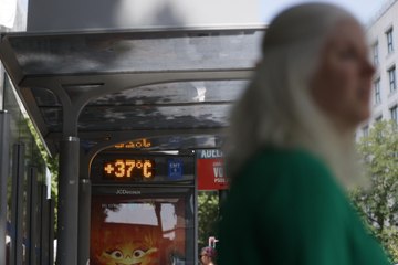 El verano de 2022 dejó más de 61.000 muertes por calor, según un estudio
