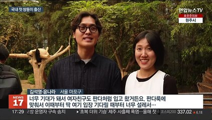 에버랜드 판다 쌍둥이 출산…"두번째 자연번식 성공"