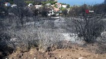 İzmir'deki orman yangınlarında soğutma çalışmaları sürüyor