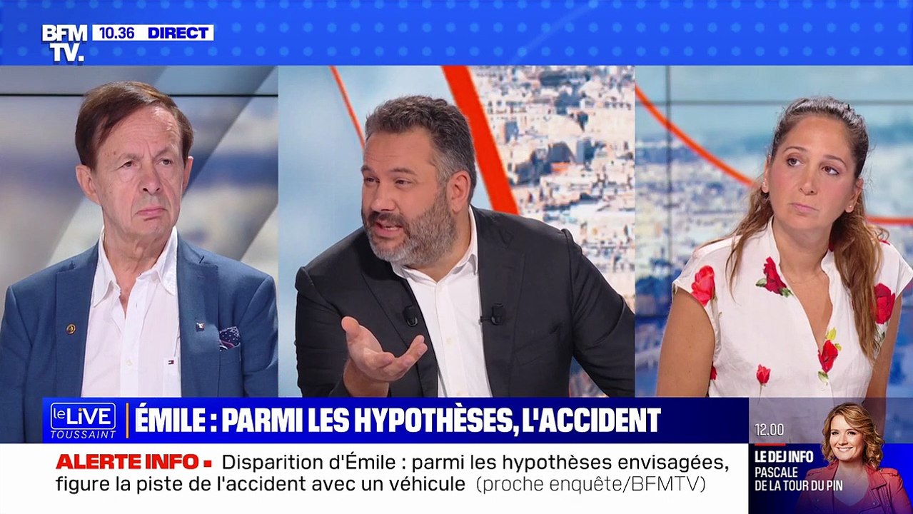D'après les informations du journal "La Provence", les enquêteurs privilégient la piste d'un accident avec une voiture ou un tracteur. BFMTV rapporte les différentes thèses explorées.