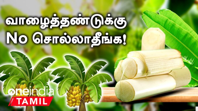 Are there so many benefits of banana stem? | Banana Stem Benefits in Tamil | Health Tips
