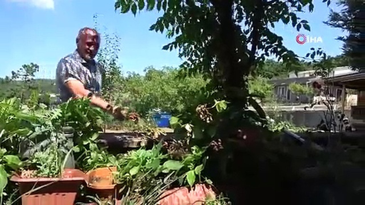 15 juillet Vétéran Üzeyir Civan： "J'ai perdu mon bras, mais je n'ai pas perdu ma patrie paradisiaque"