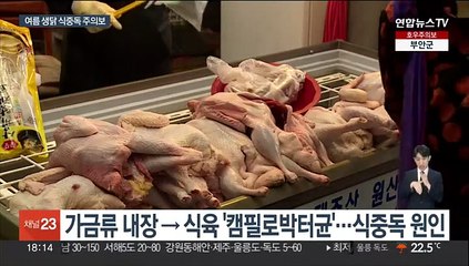 캠필로박터균 식중독 7월 집중…생닭·식재료 관리 주의