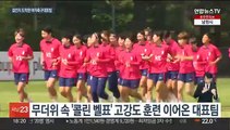 여자축구 대표팀 결전지 도착…