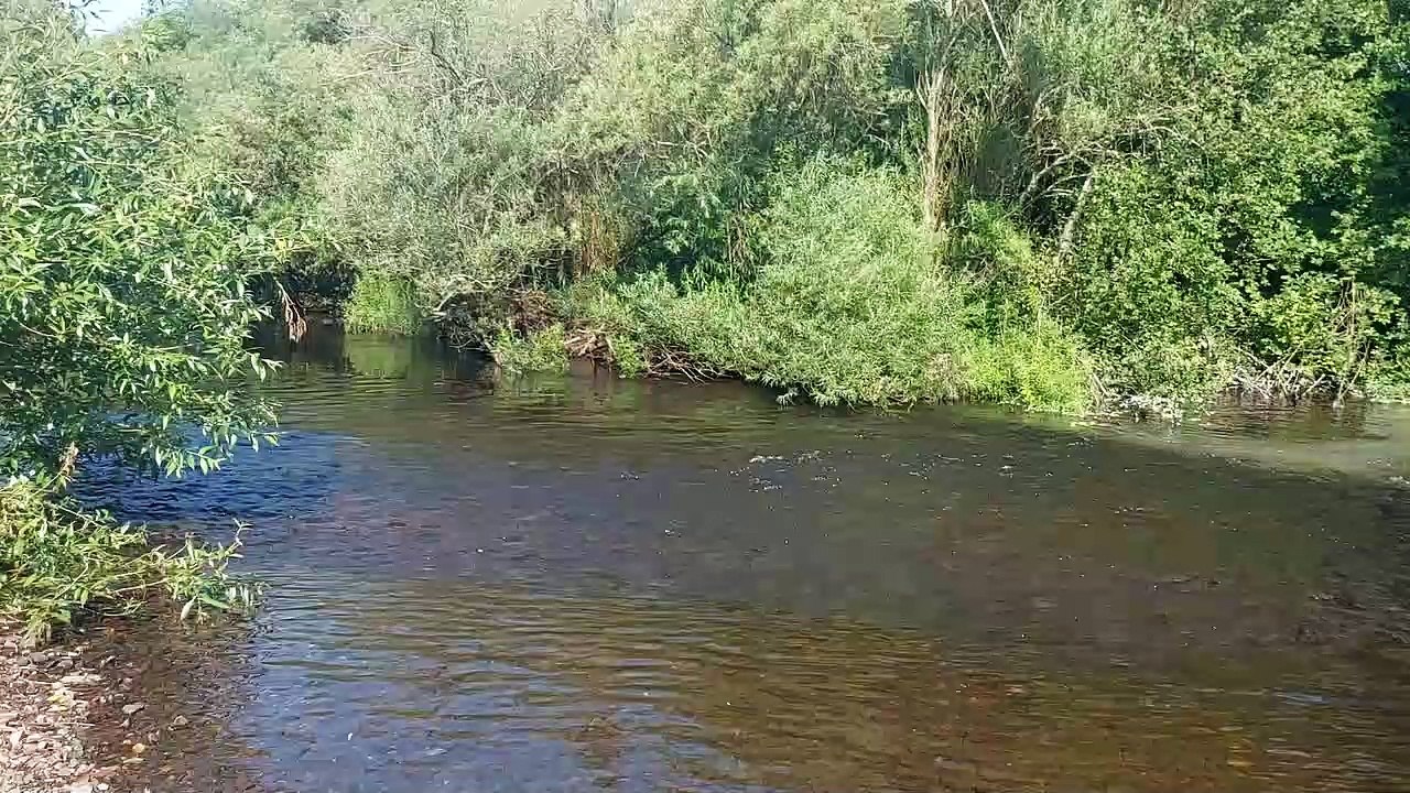 Teigngrace quarry discharge