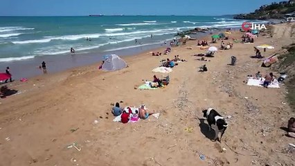 İstanbul'un Bodrum'u Kilyos sahillerinde ilginç manzara...