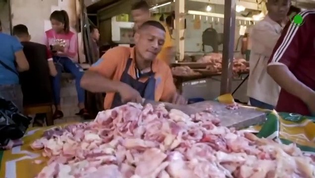 Vultures In Action. Why Vultures Eat Carrion, Without Getting Poisoned !!