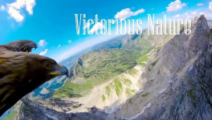 These Dogs Guard the House of Russian President Vladimir Putin.