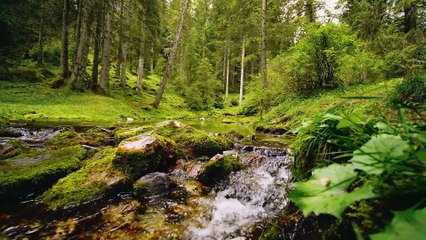 Download Video: Beautiful Relaxing Music - Waterfall sounds for sleeping, Stress Relief, Calming music