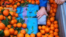 Droga dalla Spagna e Napoli nascosta tra contenitori di frutta: 7 arresti (11.07.23)