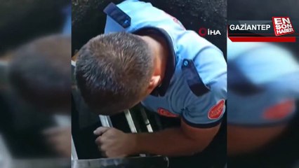 Kuyuya düşen yavru köpeği itfaiye ekipleri kurtardı