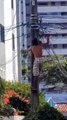 Destemido e sem camisa, homem furta fios de cobre no bairro do Imbuí