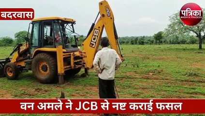 यहां धड़ल्ले से काटे जा रहे जंगल, चल रहा अतिक्रमण का खेल, अब एक्शन में आया वन अमला