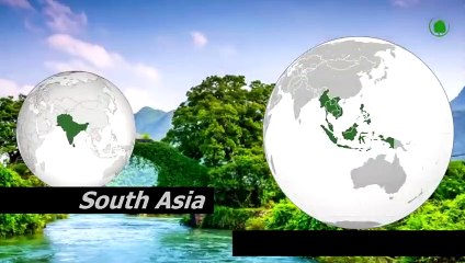 Huge Snakes That Can Swallow A Human, Even A Whole Cow.