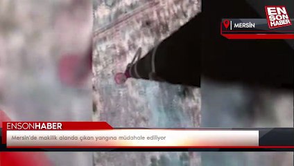 Mersin'de makilik alanda çıkan yangına müdahale ediliyor
