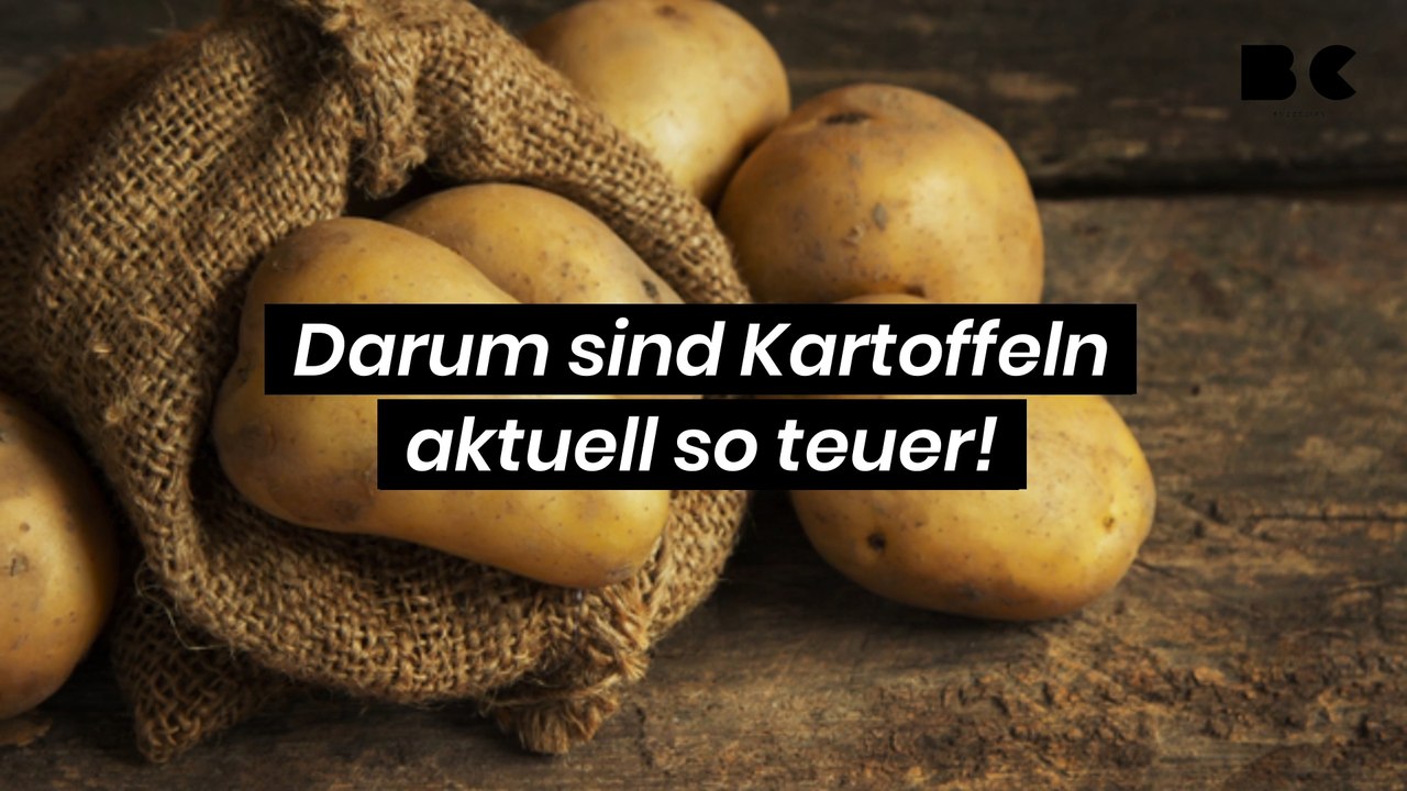 Darum sind Kartoffeln aktuell so teuer!