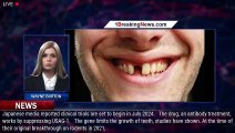 Miracle tooth REGROWING drug 'to begin human trials next year' - 1breakingnews.com